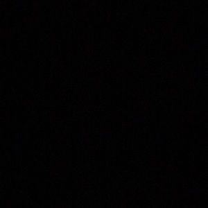 Meet your Posher, Lacey